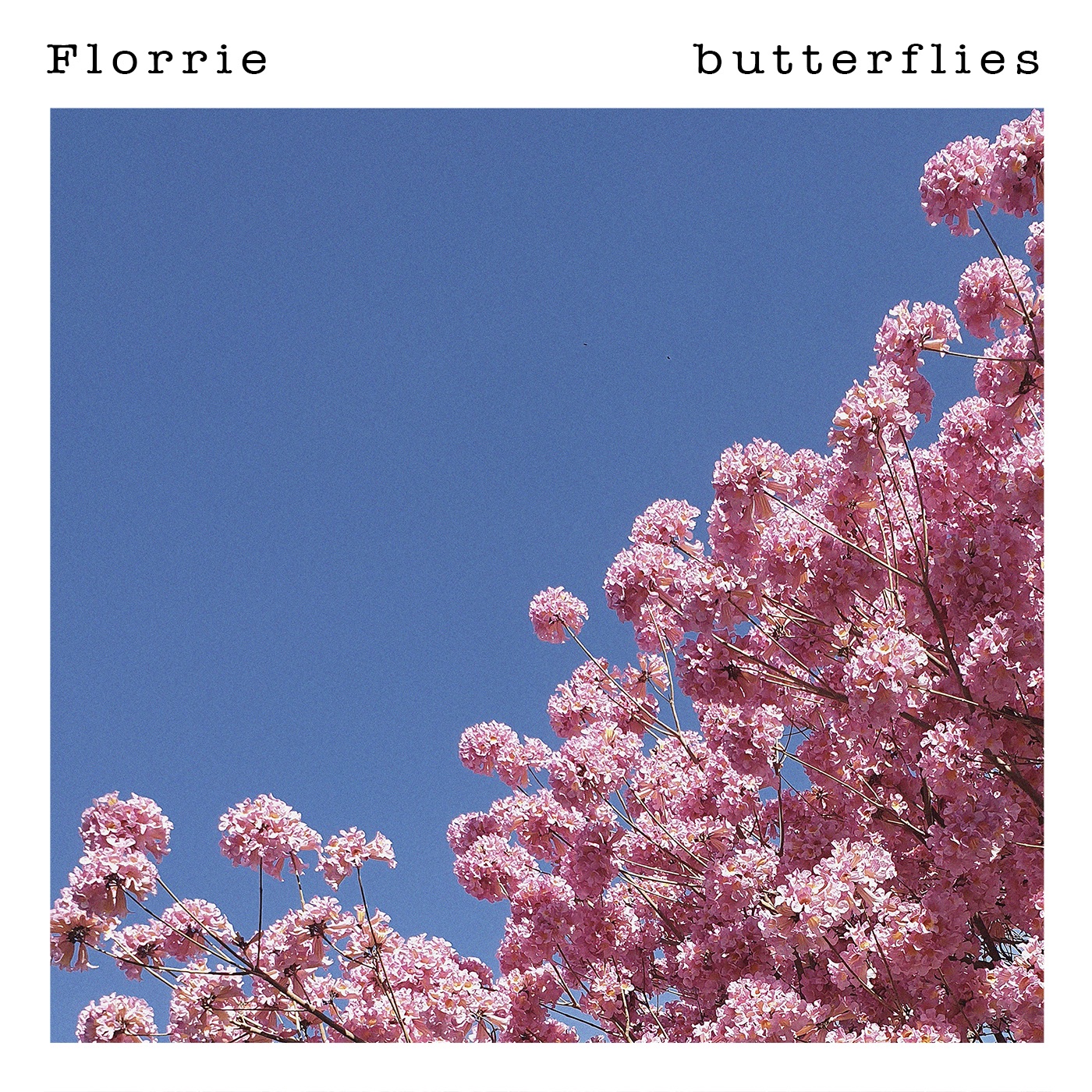 Butterflies - Single album cover