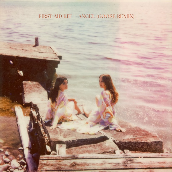 Angel (Goose Remix) - Single album cover