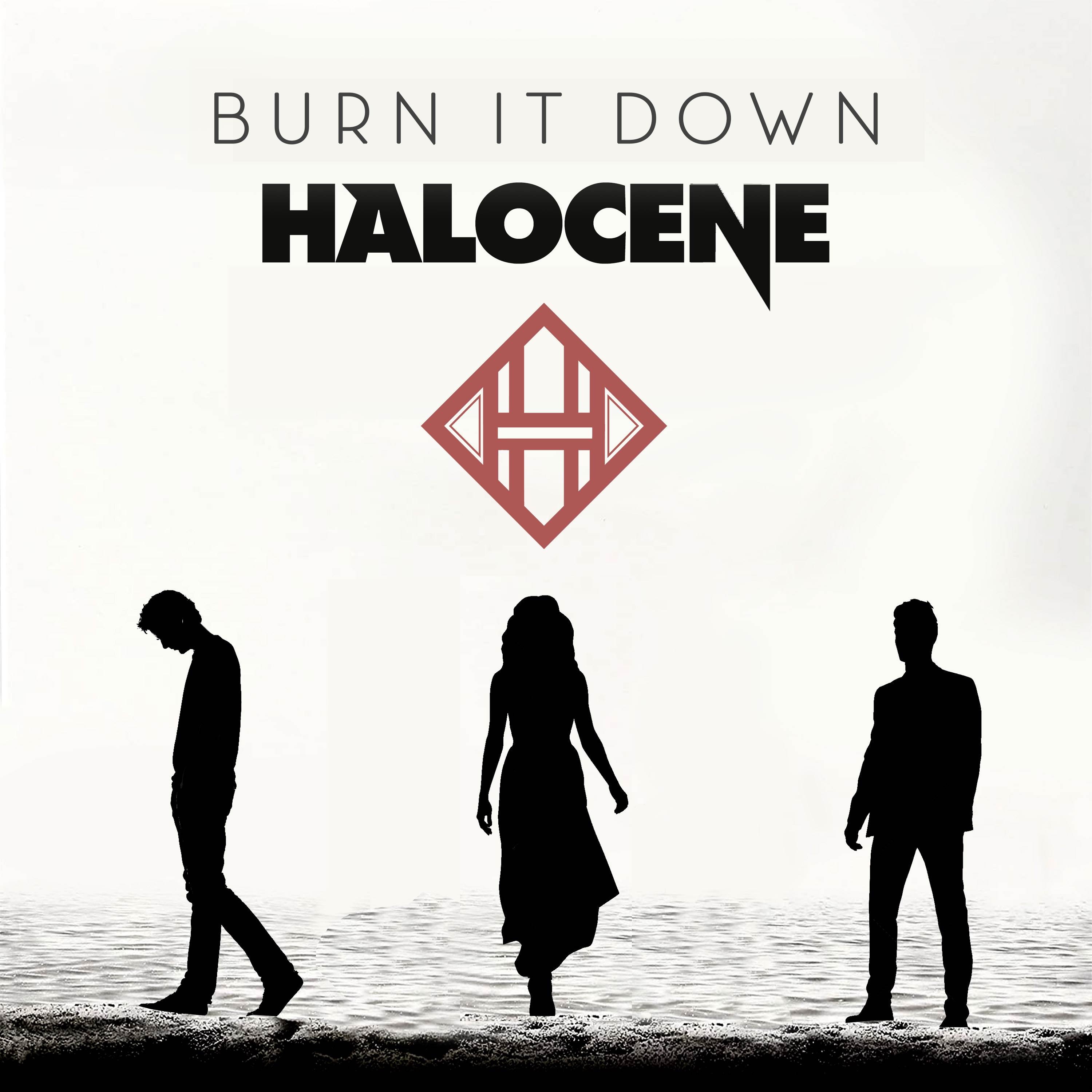Burn It Down - Single album cover