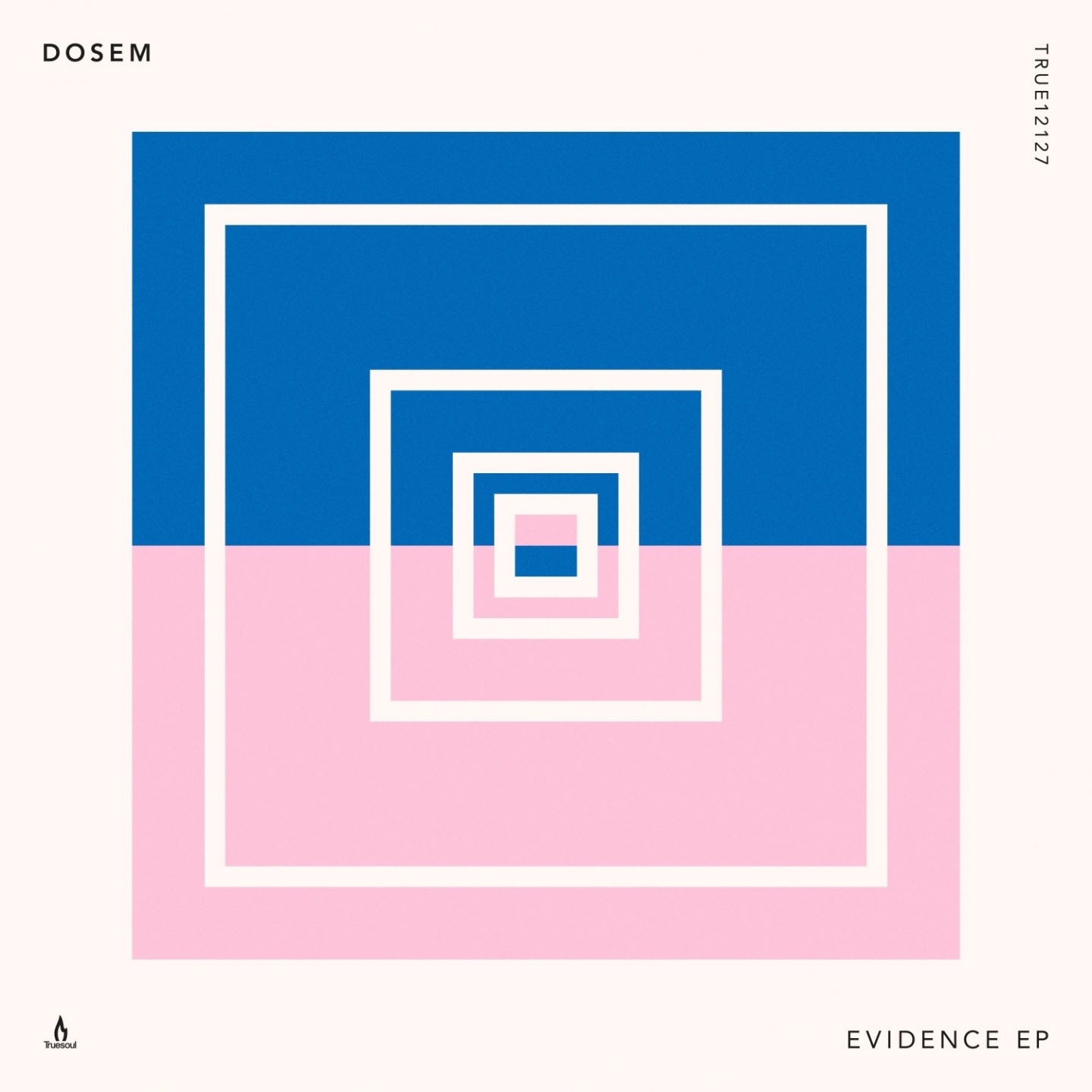 Evidence - EP album cover