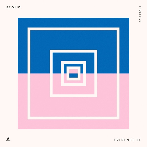 Evidence - EP album cover