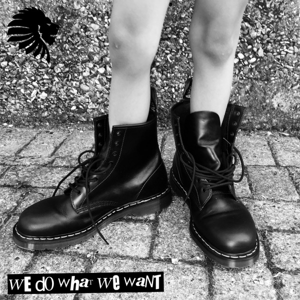 We Do What We Want (Edit) - Single album cover