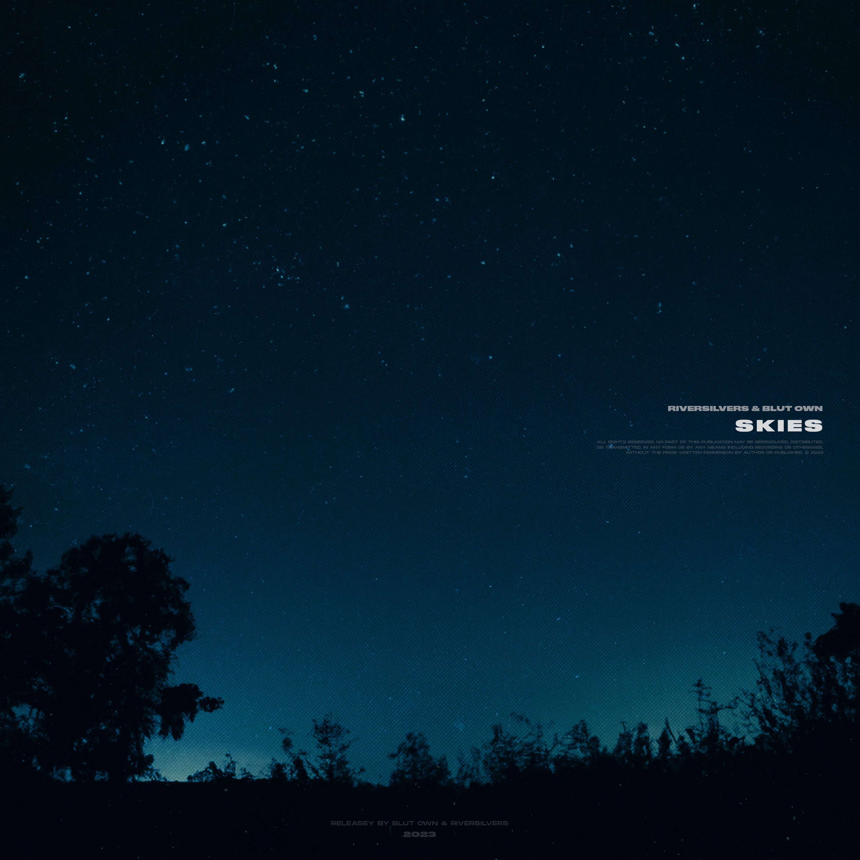 Skies - Single album cover