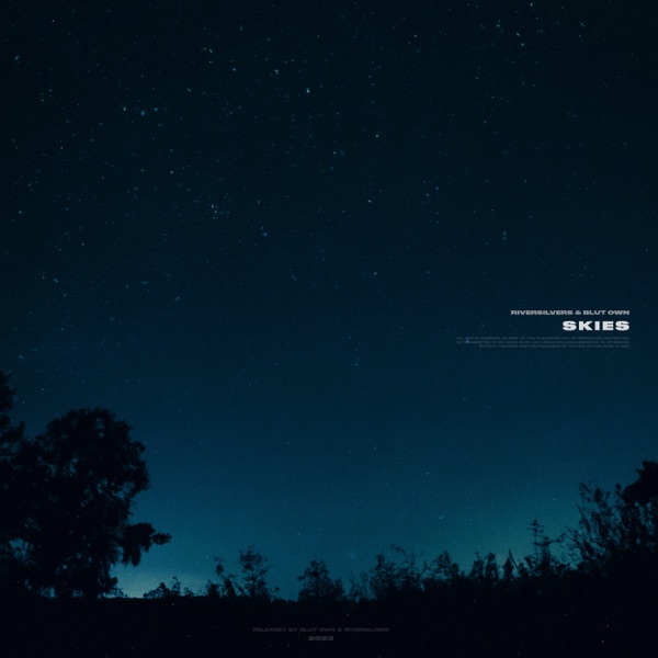 Skies - Single album cover