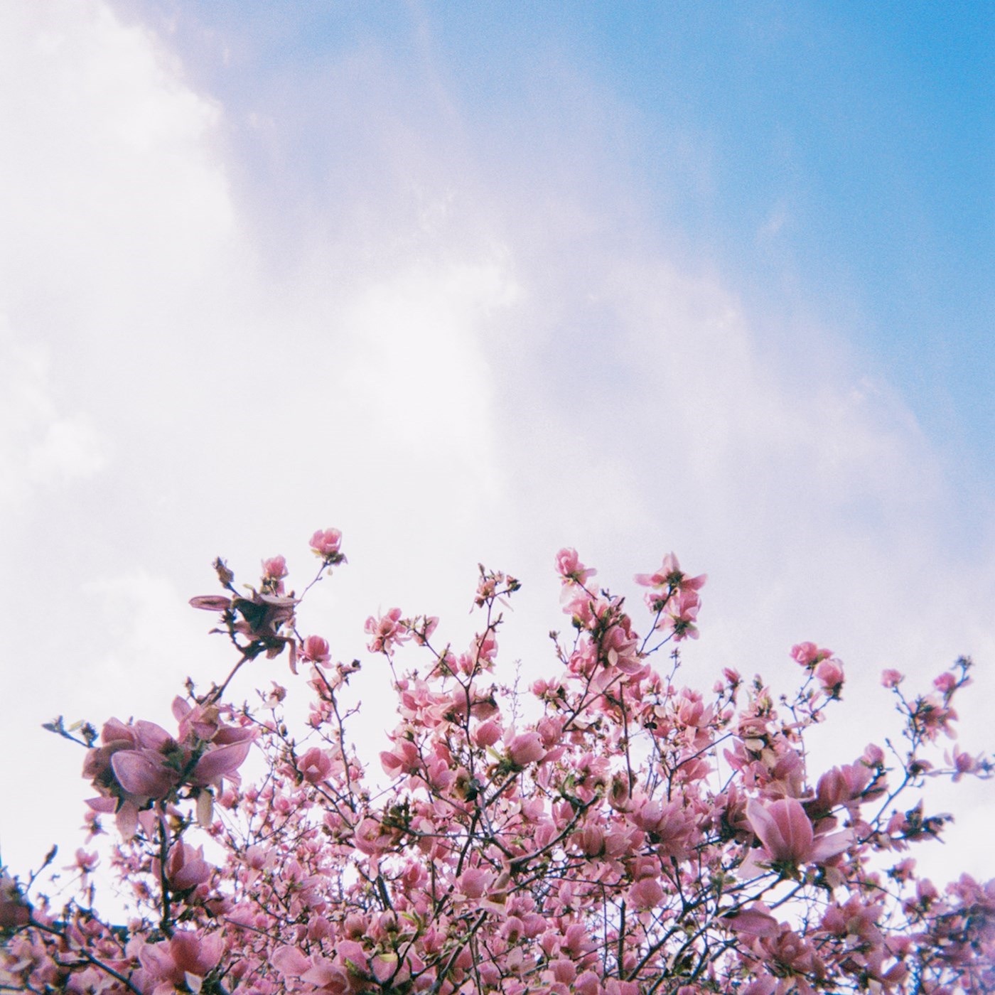 Good Days - Single album cover