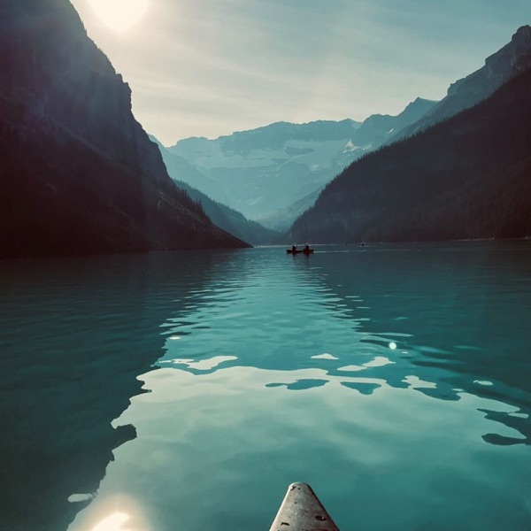 Pathalogical - Single album cover