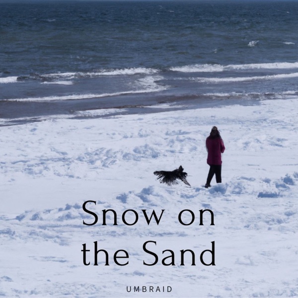 Snow on the Sand - Single album cover