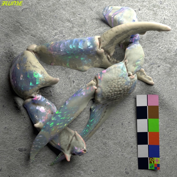 Let You Know (feat. London Grammar) - Single album cover