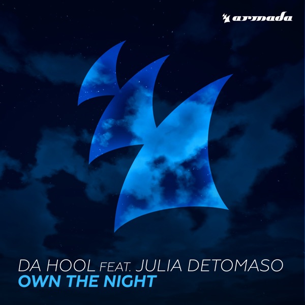 Own the Night (feat. Julia DeTomaso) - Single album cover