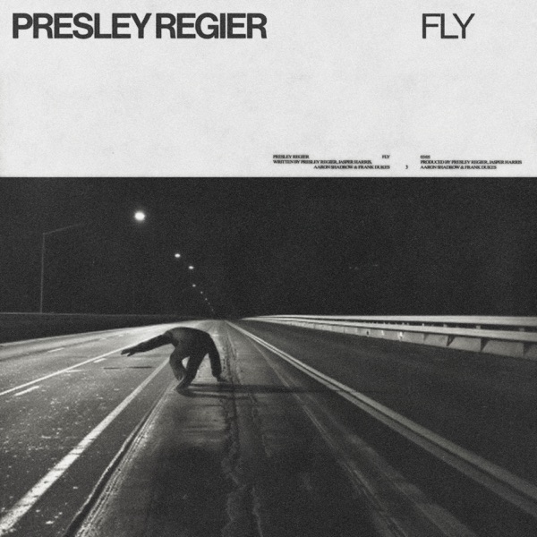 Fly - Single album cover