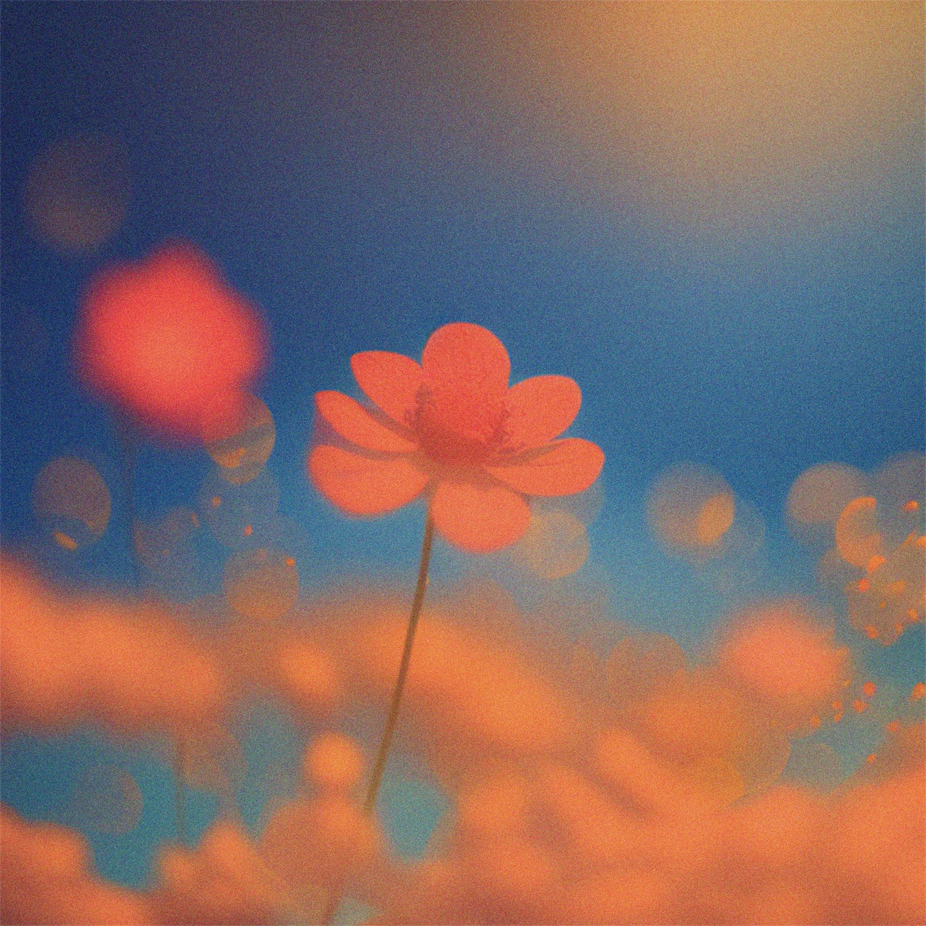 Grateful - Single album cover