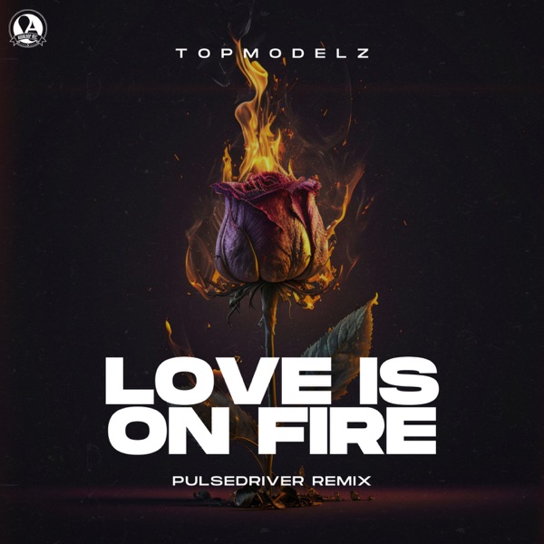 Love Is On Fire - Single album cover