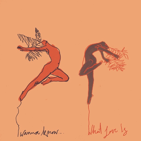 I Wanna Know What Love Is - Single album cover
