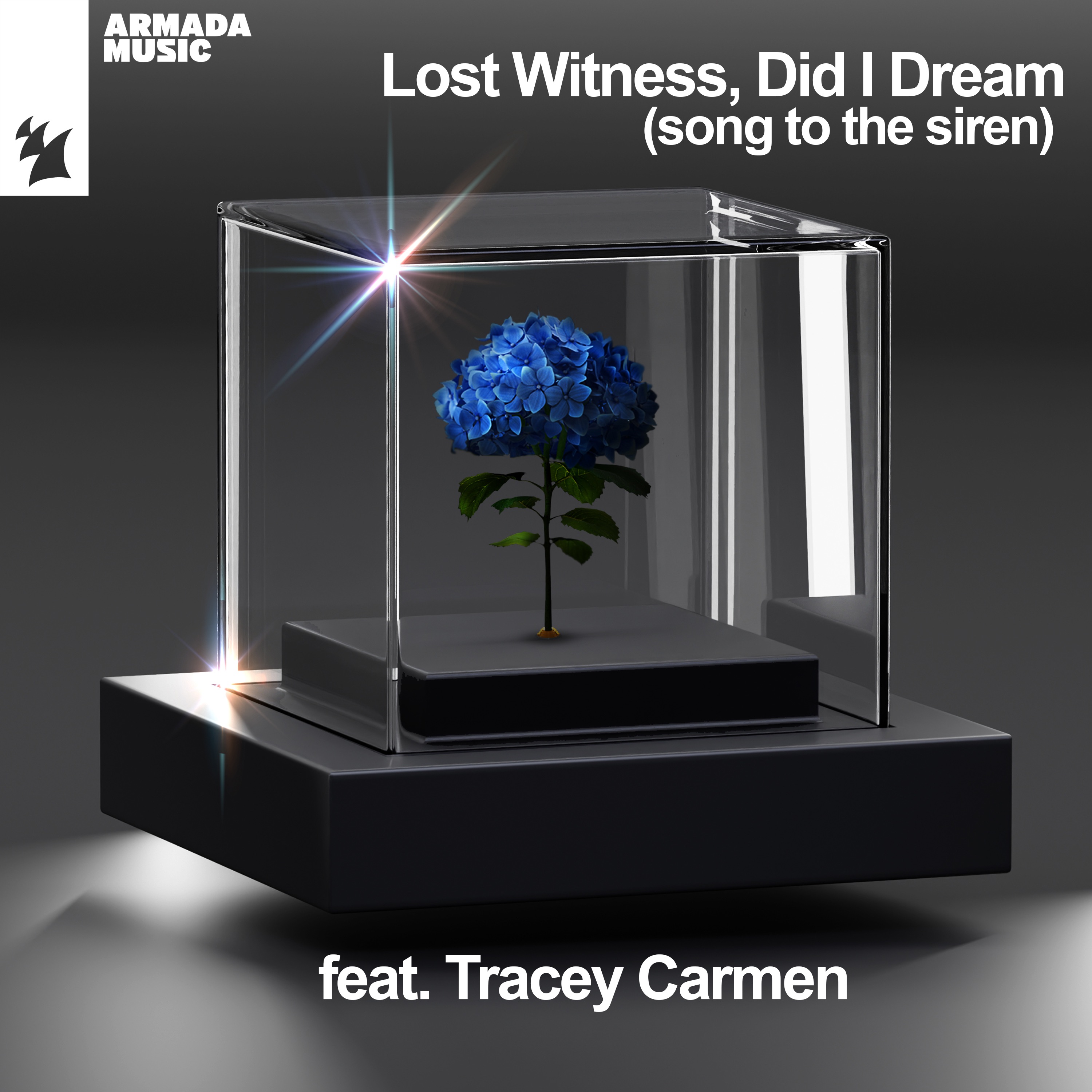 Did I Dream (Song to the Siren) [feat. Tracey Carmen] - EP album cover
