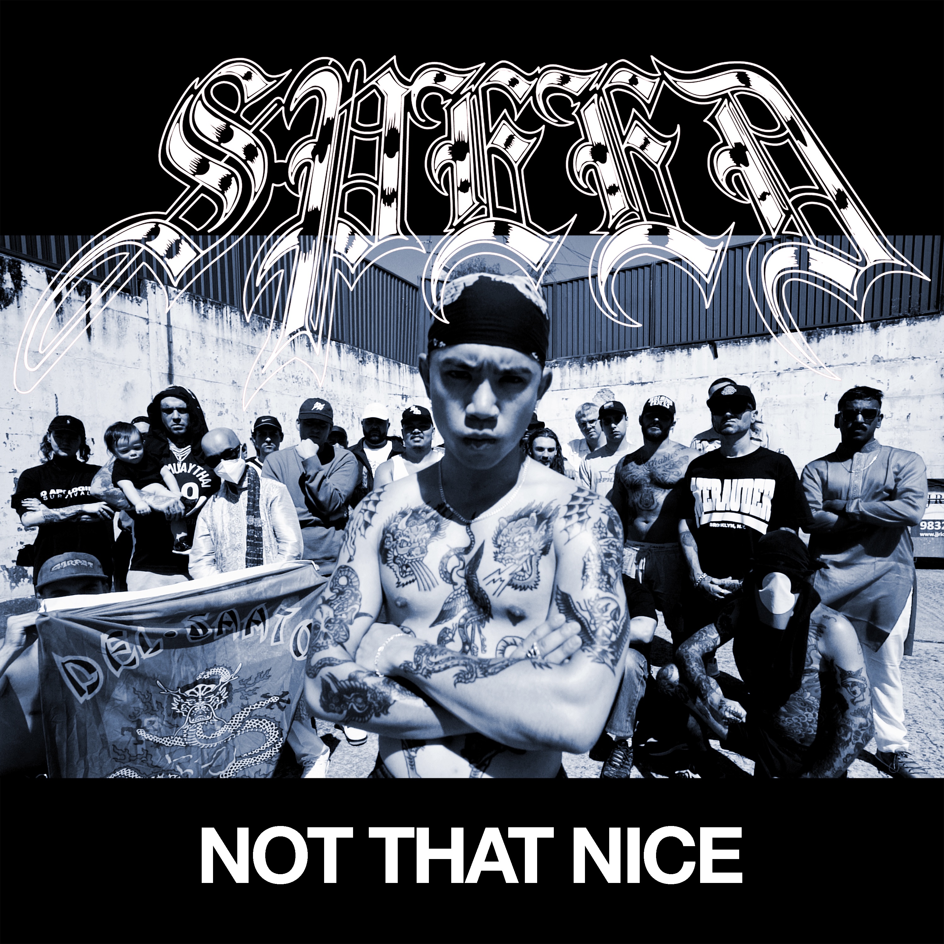 Not That Nice - Single album cover