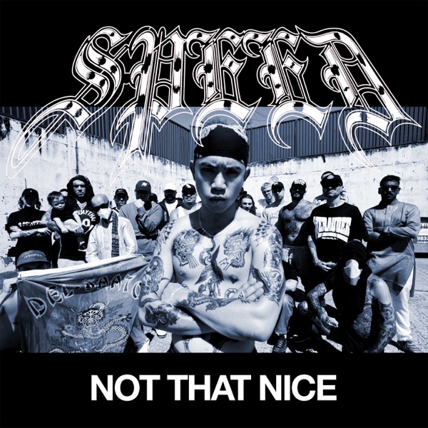 Not That Nice - Single album cover