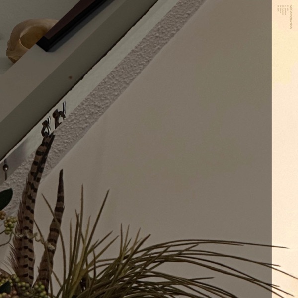 self-destruction - EP album cover