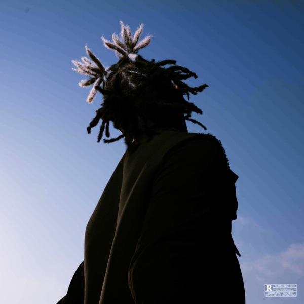LA VIE AU CALME - Single album cover
