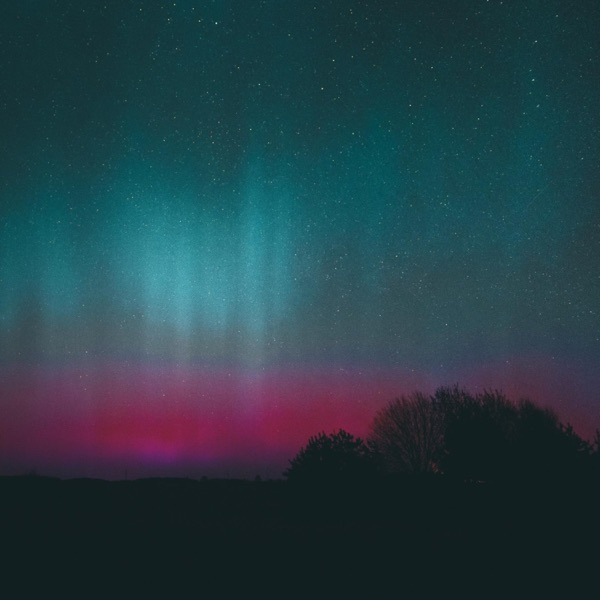 Revisit (Revisit) - Single album cover