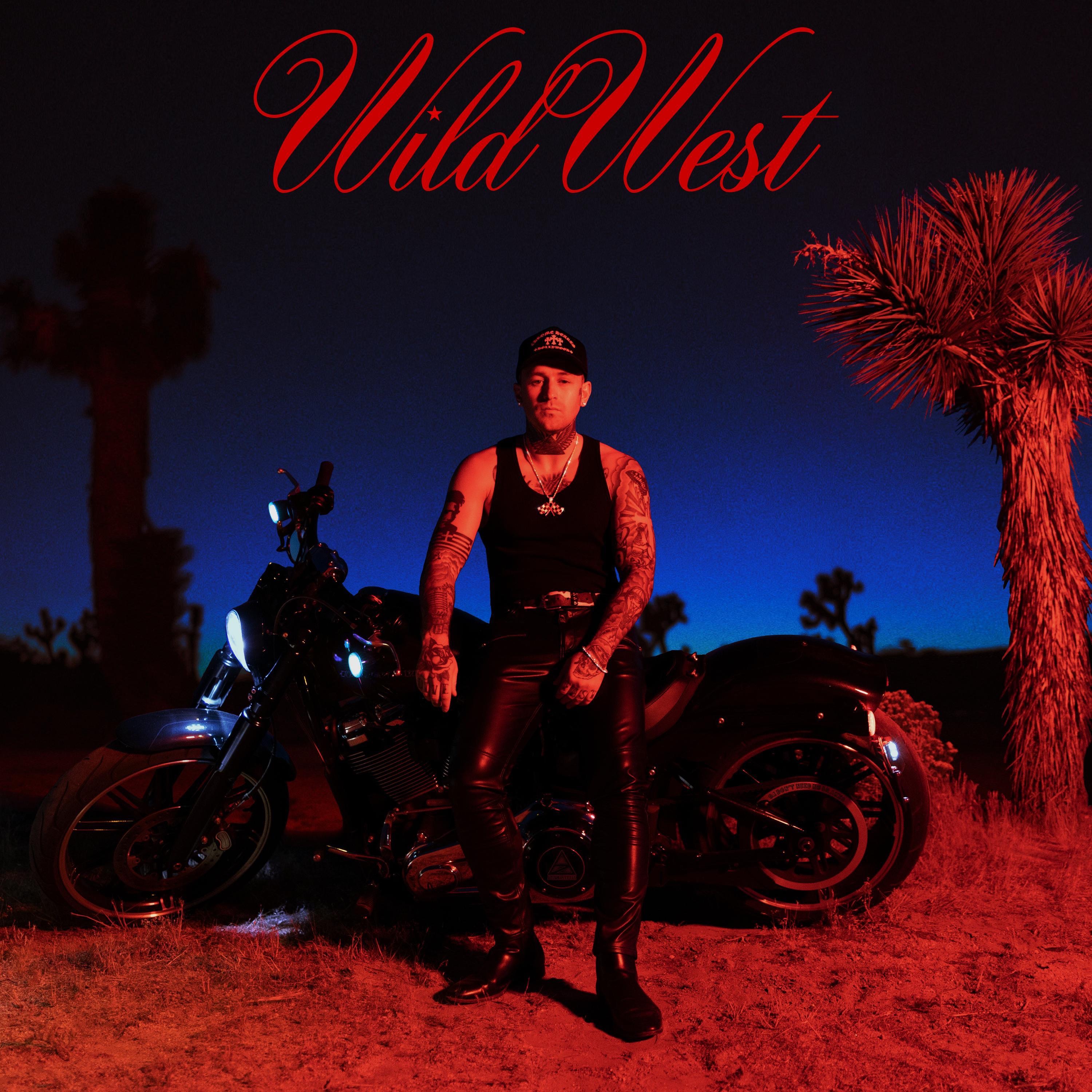 WILD WEST album cover