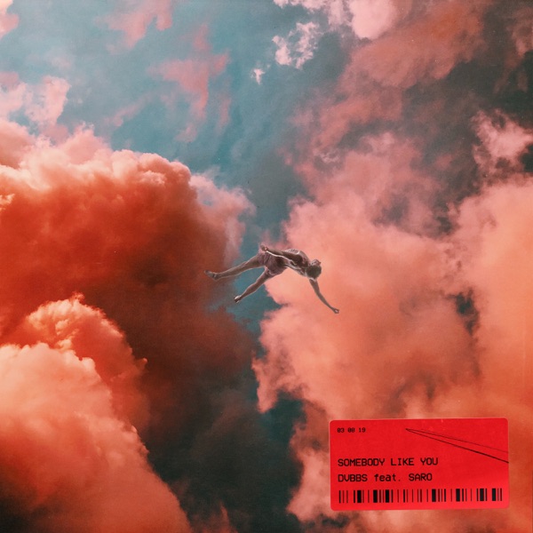 Somebody Like You - Single album cover
