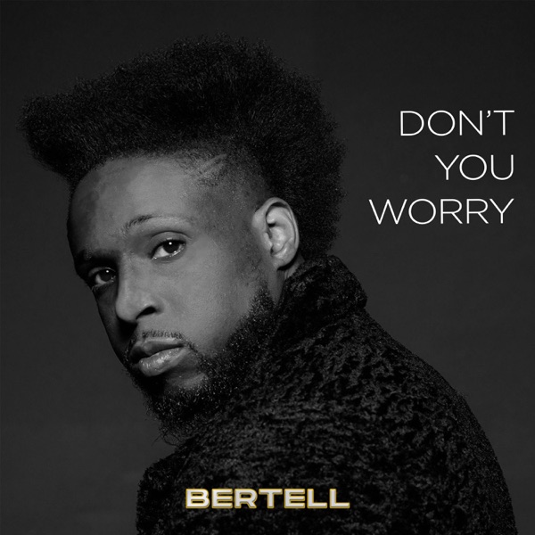 Don't You Worry - Single album cover