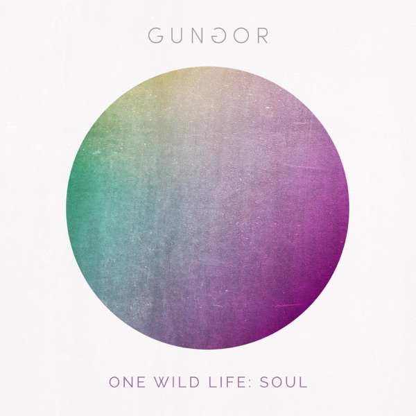 One Wild Life: Soul album cover