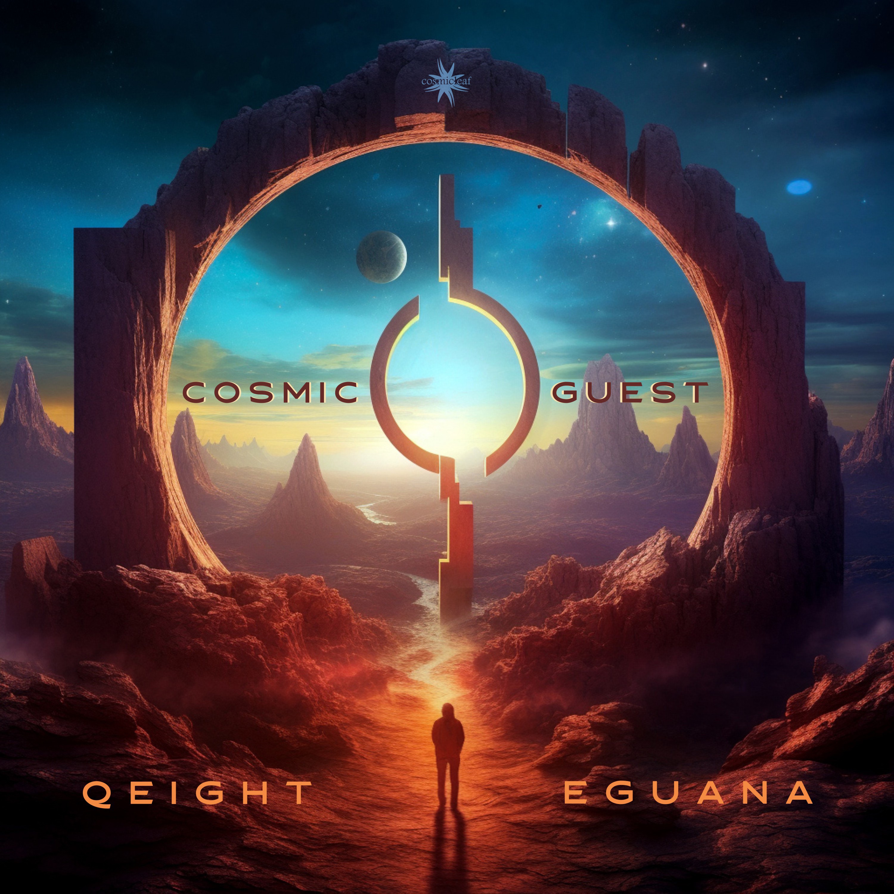 Cosmic Guest - Single album cover