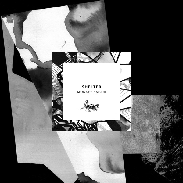 Shelter - Single album cover