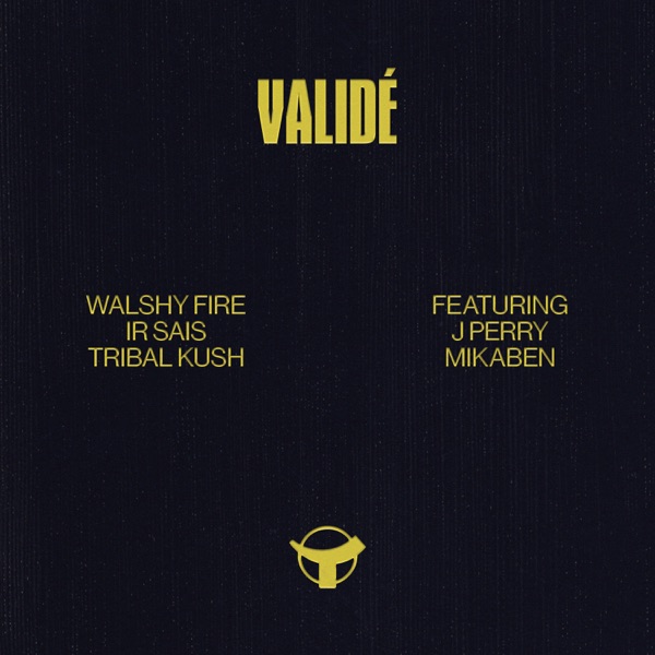 Validé (feat. J Perry & Mikaben) - Single album cover