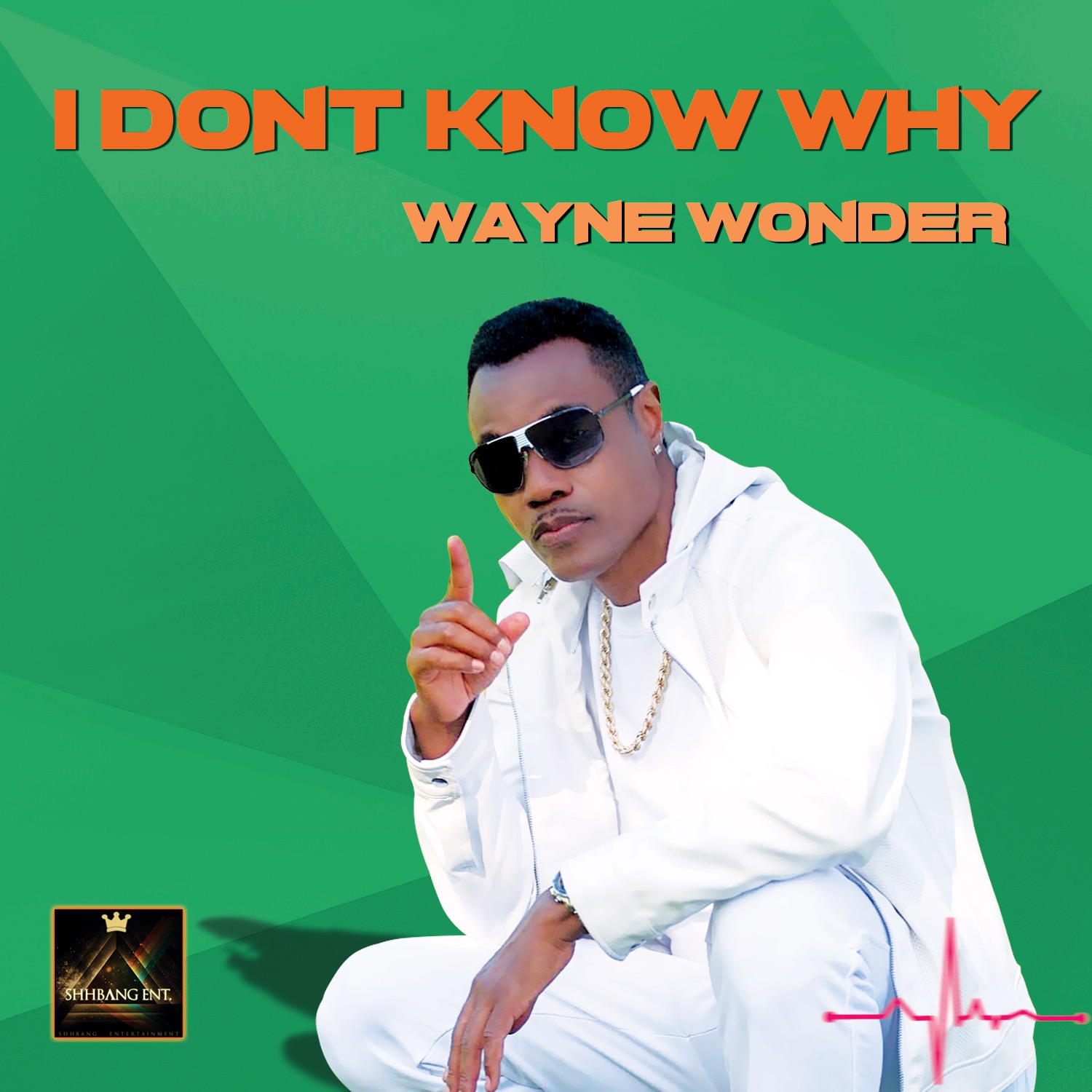 I Dont Know Why - Single album cover