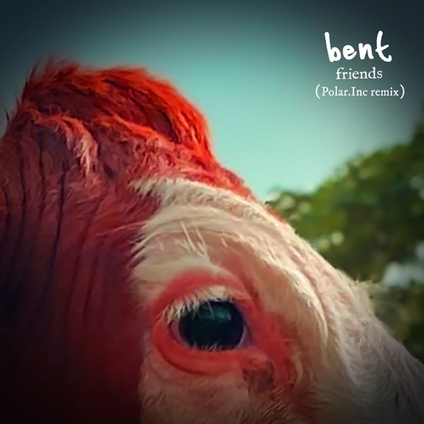 Friends (Polar Inc. Remix) - Single album cover
