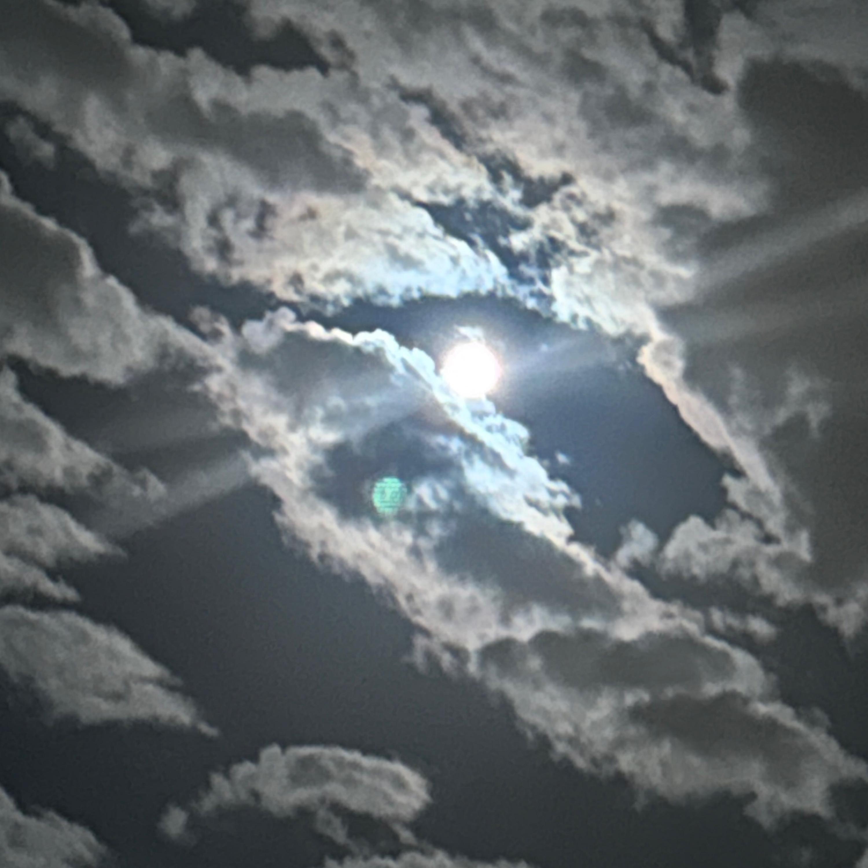 Love is Delulu (feat. Reina) - Single album cover