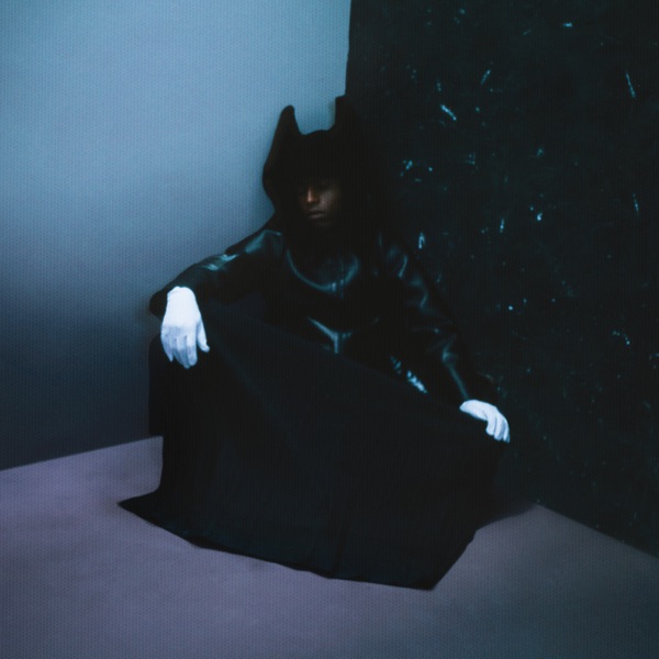 Nobody's Home album cover