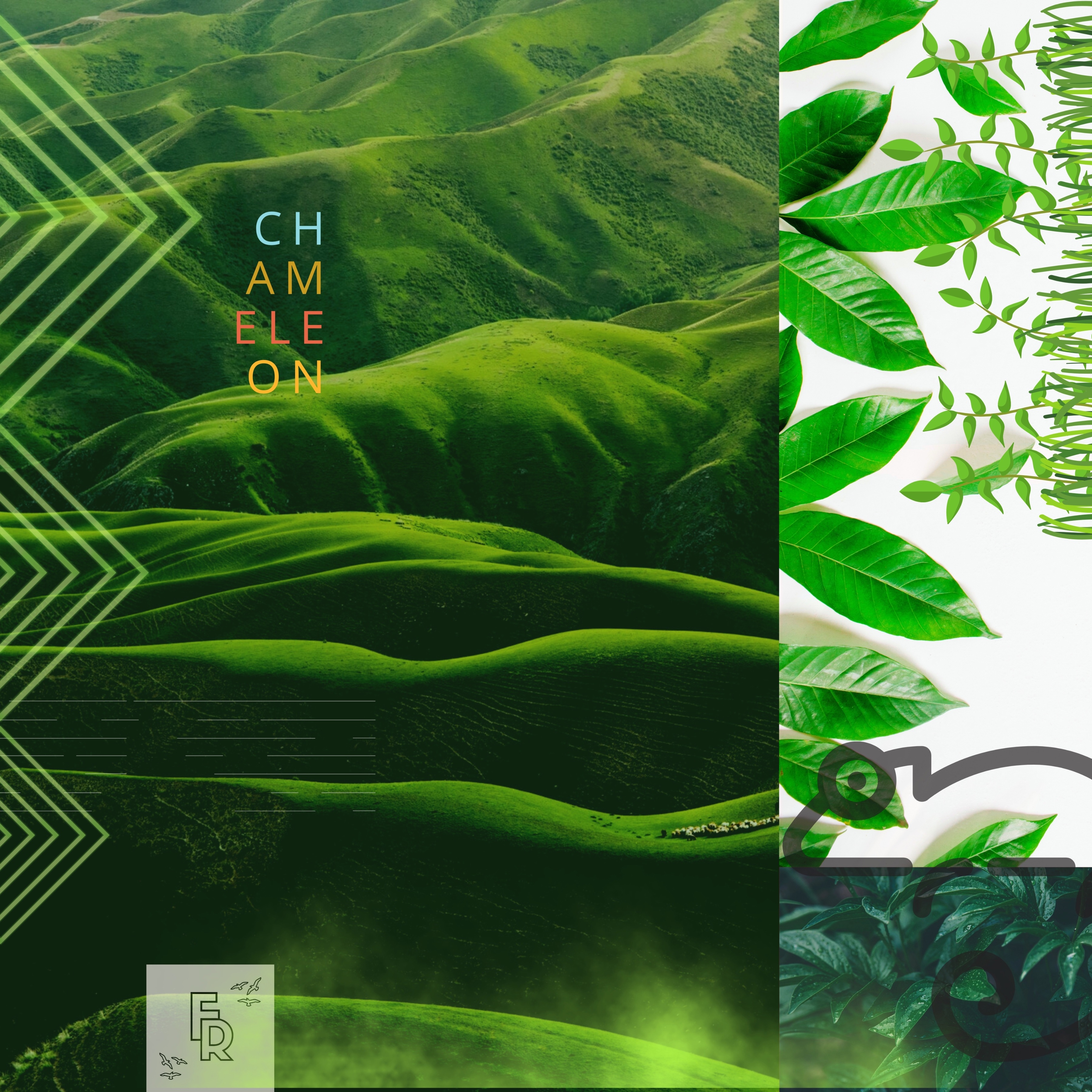 Chameleon - Single album cover