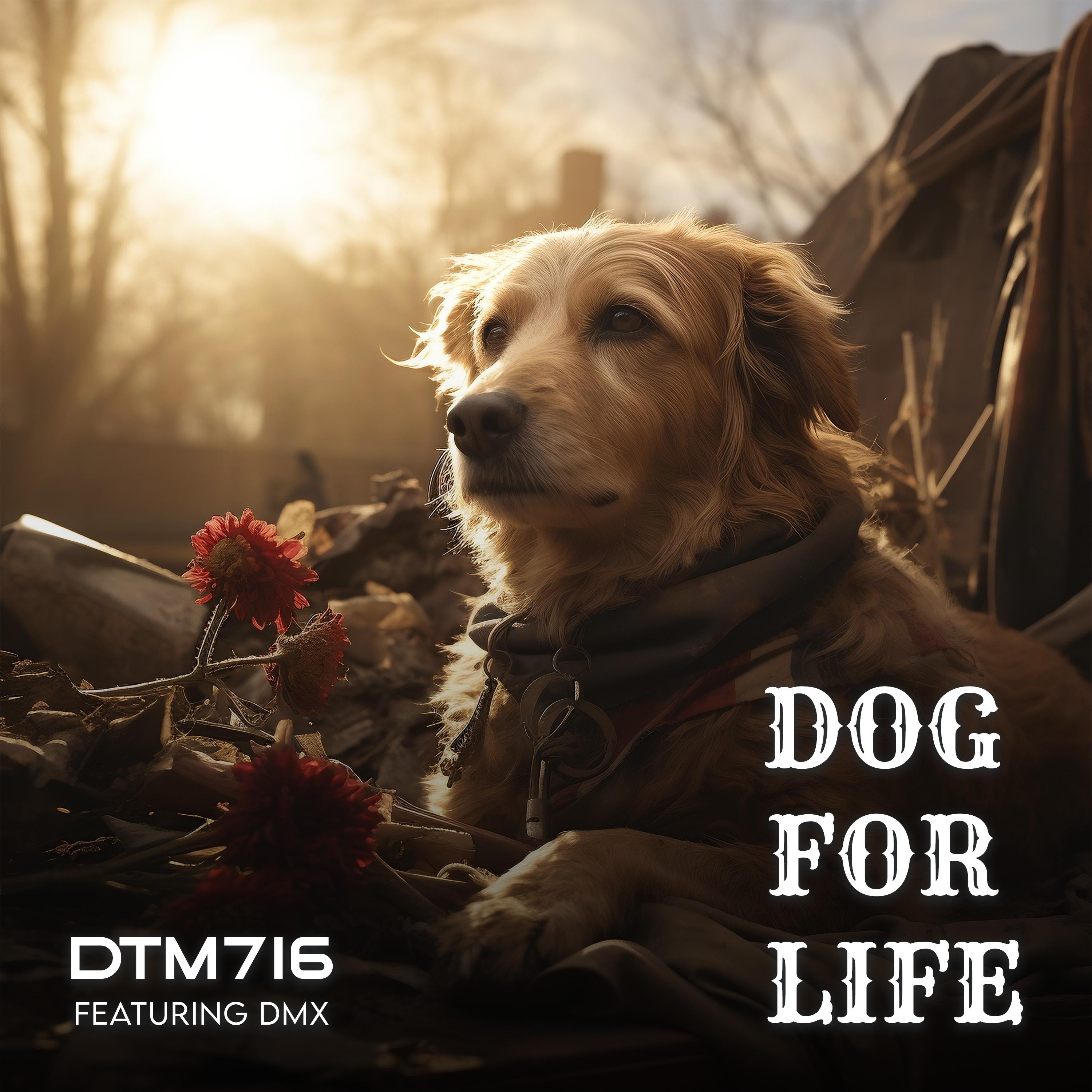 Dog For Life (feat. DMX) - Single album cover