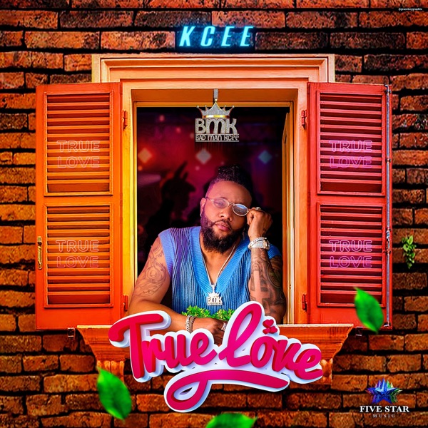 True Love - Single album cover