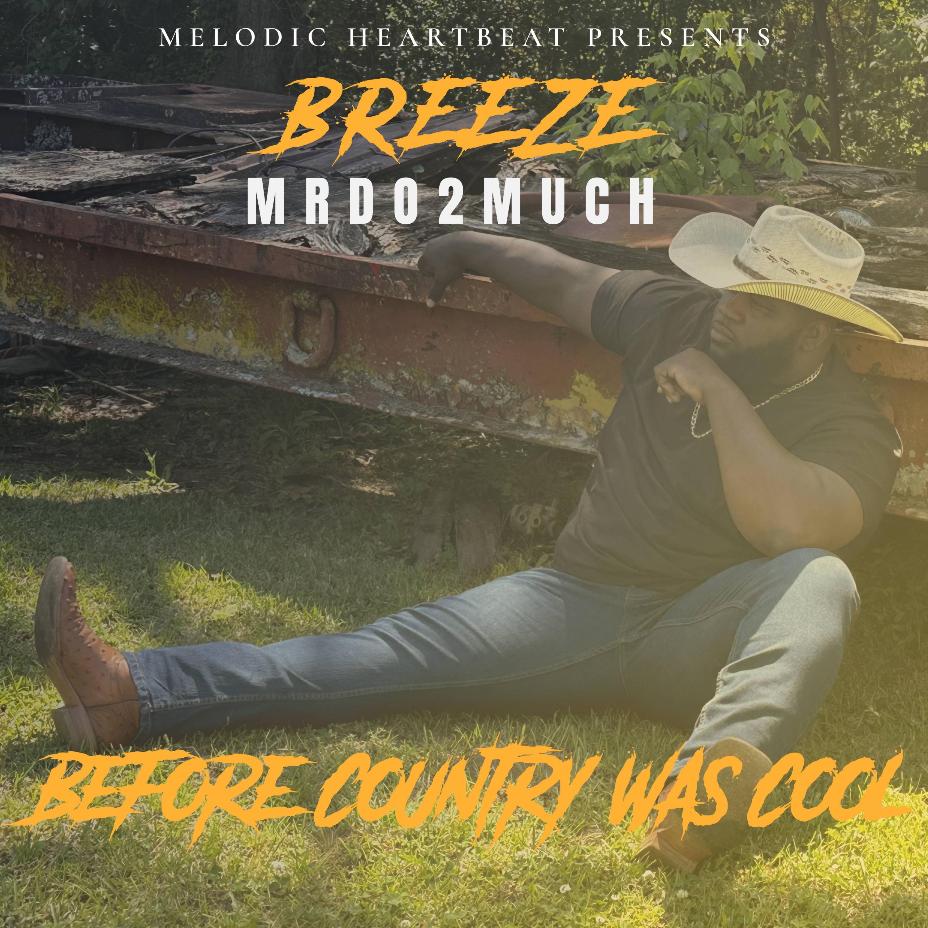 Before Country Was Cool album cover