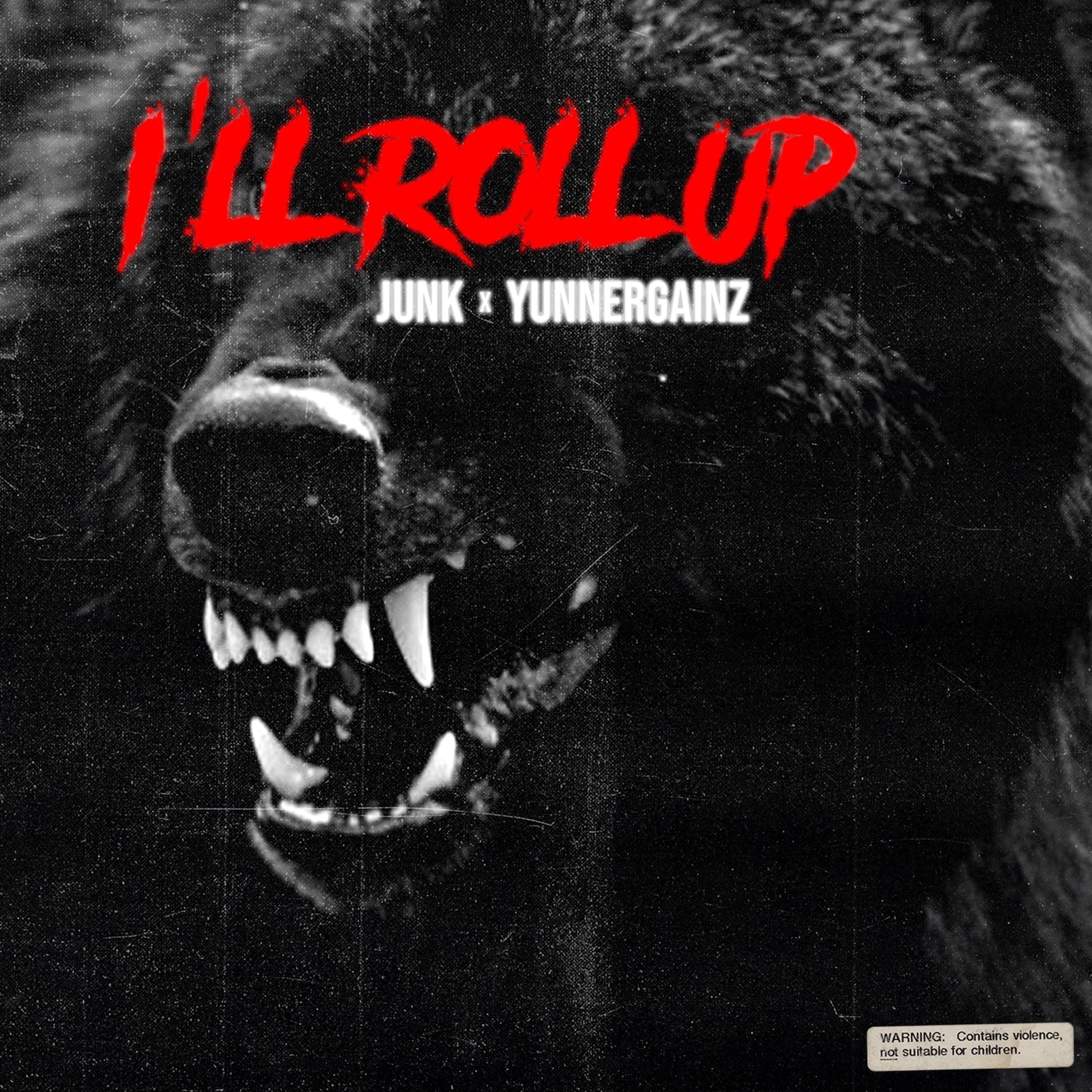 I'll Roll Up - Single album cover