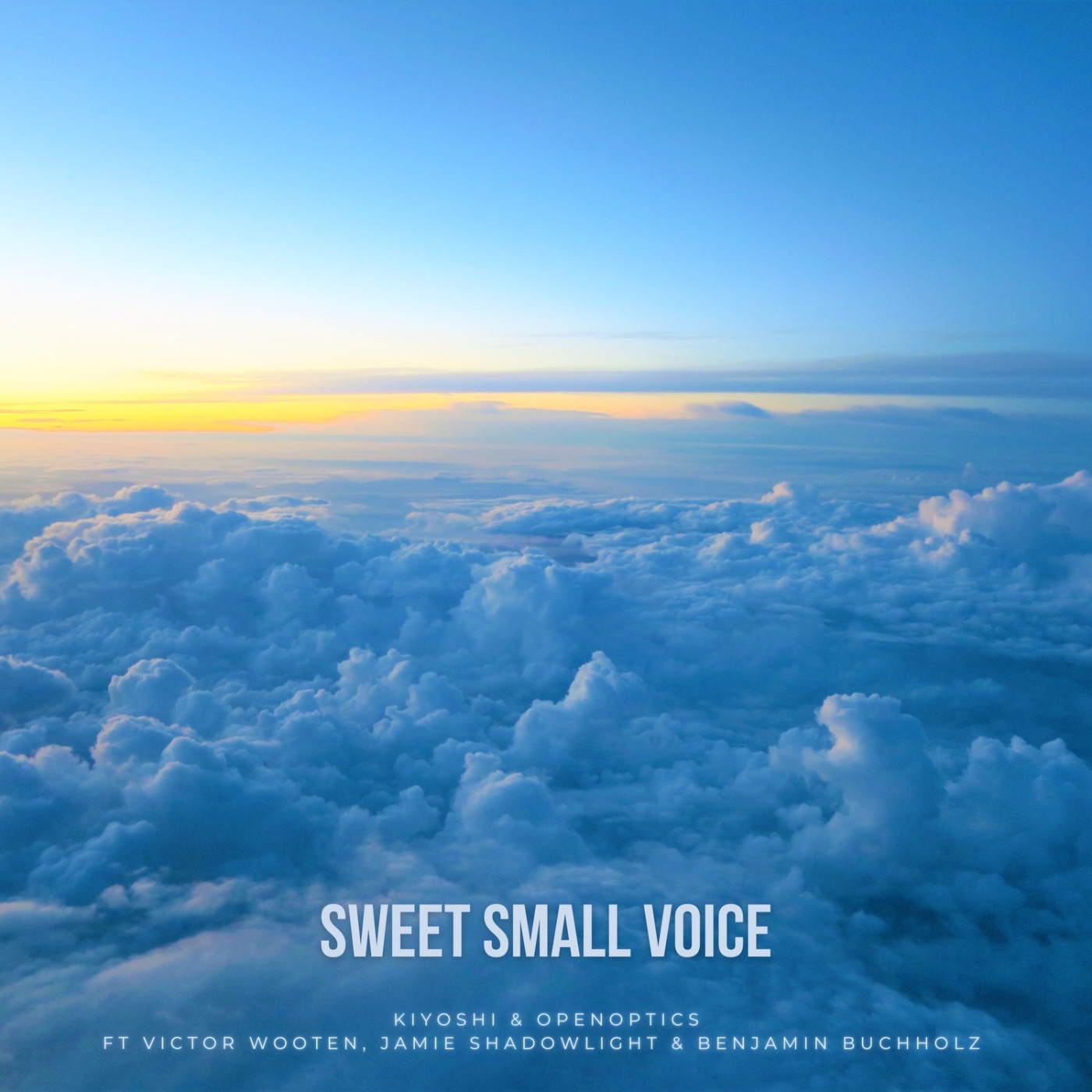 Sweet Small Voice (feat. Victor Wooten & Jamie Shadowlight & Benjamin Buchholz) - Single album cover