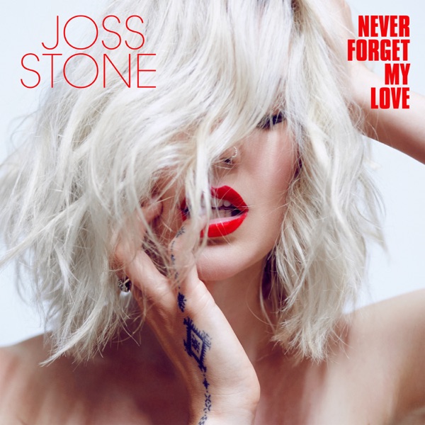 Never Forget My Love album cover