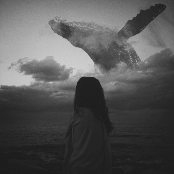 Long Whale Song (Remixes) - Single album cover