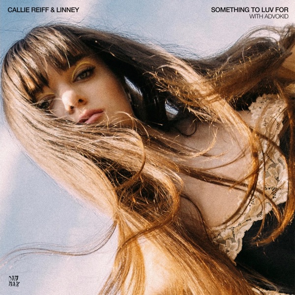 Something To Luv For (feat. Advokid) - Single album cover