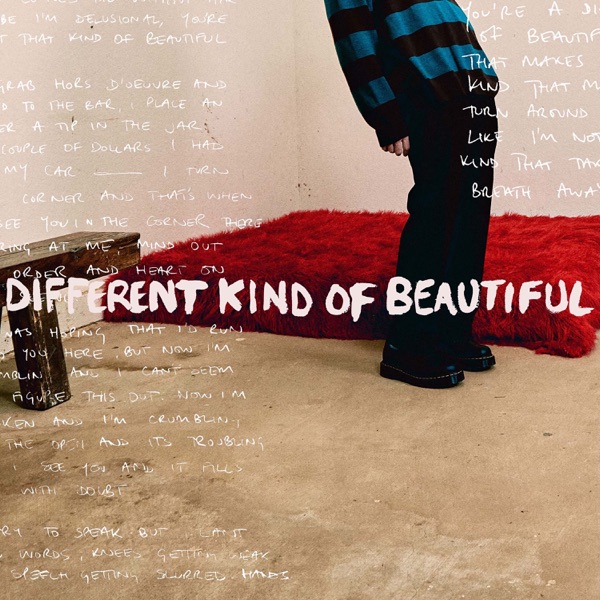 Different Kind Of Beautiful - Single album cover