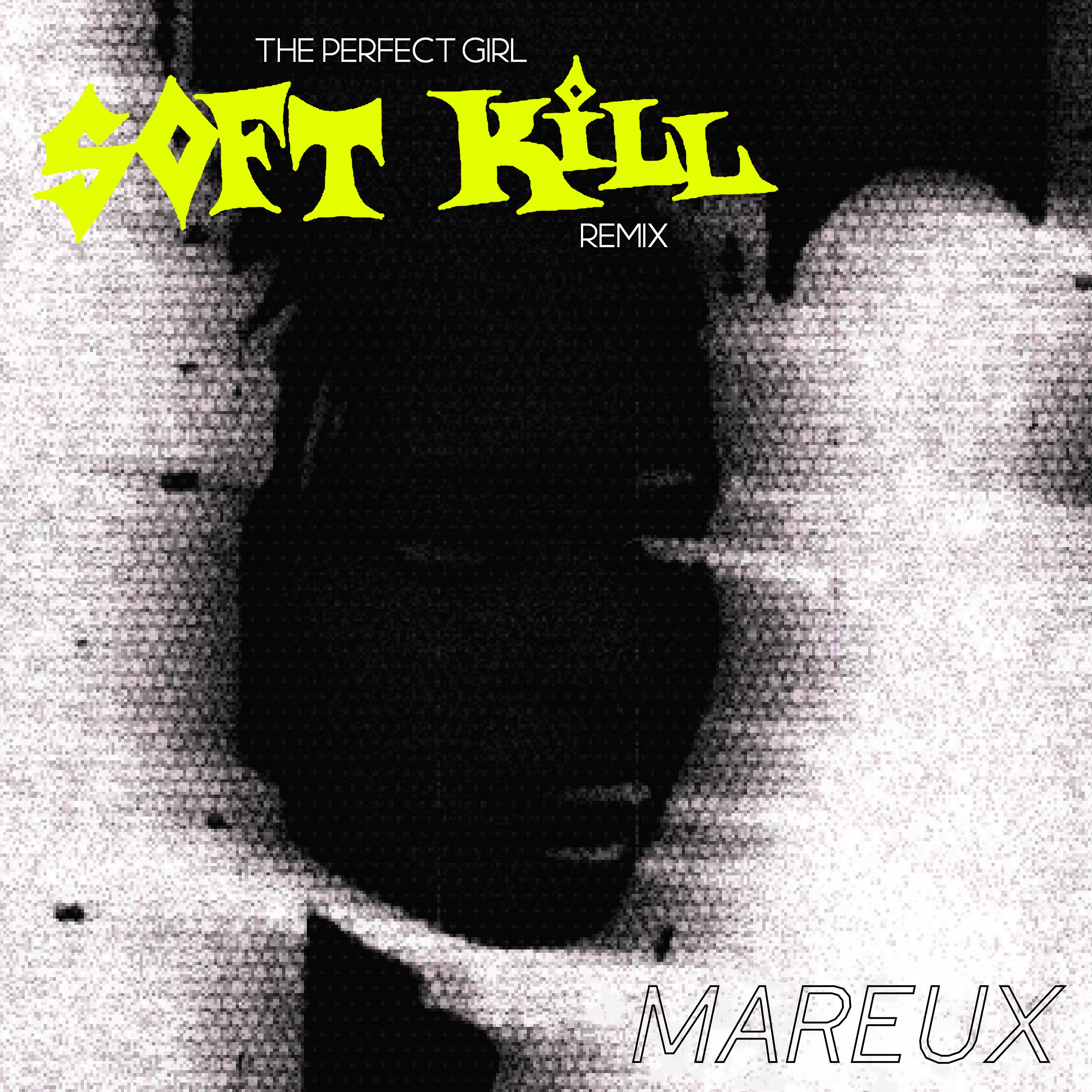 The Perfect Girl (Soft Kill Remix) - Single album cover