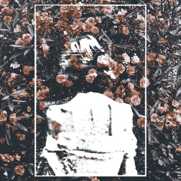 4-Way Split - Single album cover