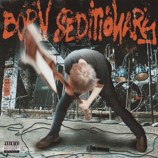 Born Seditionary album cover