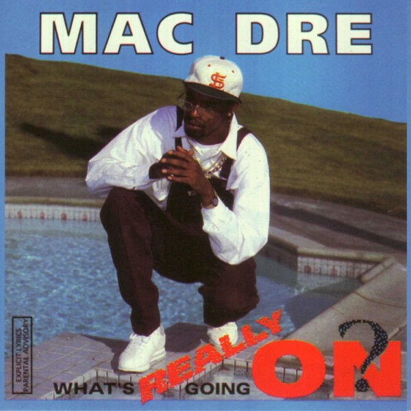 What's Really Going On? album cover