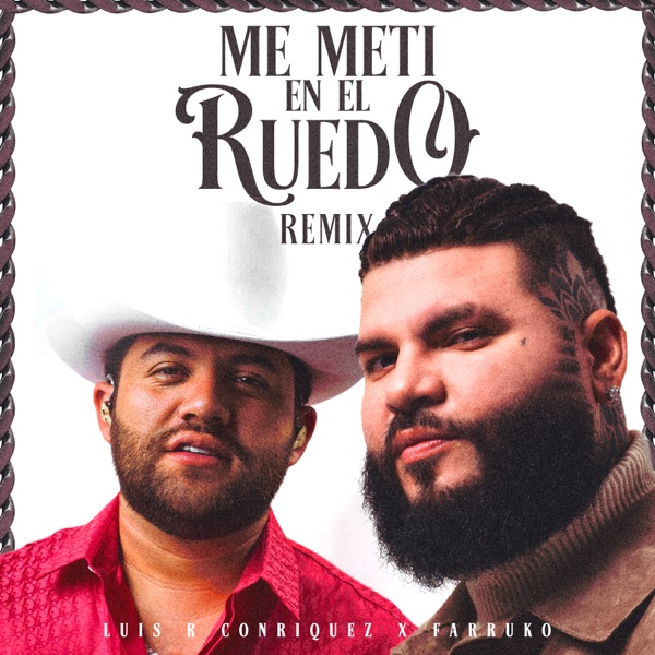 Me Metí en el Ruedo (Remix) - Single album cover