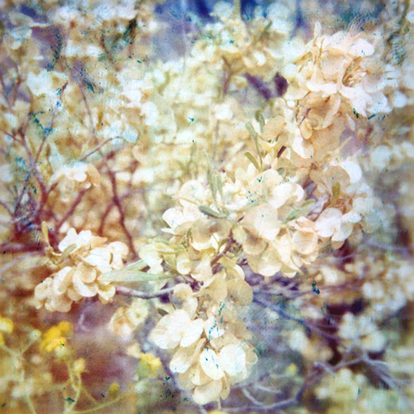 Like History (Instrumentals) album cover